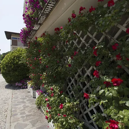 Bisanzio 3* Cesenatico