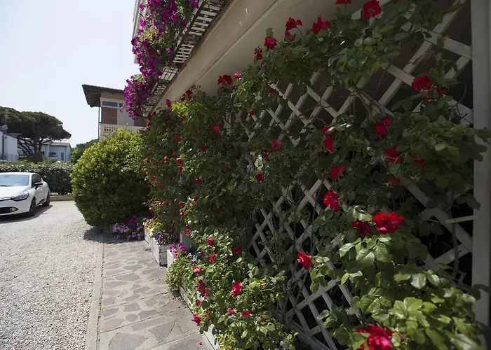 Bisanzio 3* Cesenatico